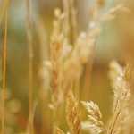 Spin Ania Gaming: Your Personal High-End Destination for the Internet Gambling Excellence