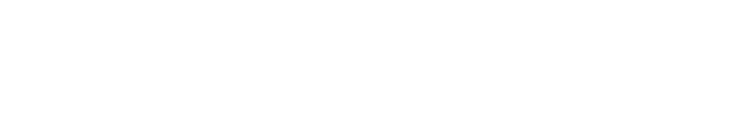 logo sn white